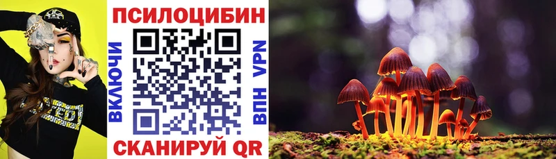 Купить закладки  Новосокольники  Псилоцибиновые грибы мицелий 